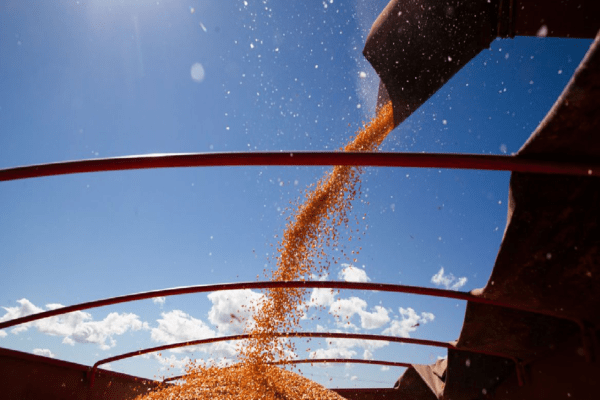 Produção de grãos deve chegar a 268,3 milhões de toneladas, diz Conab