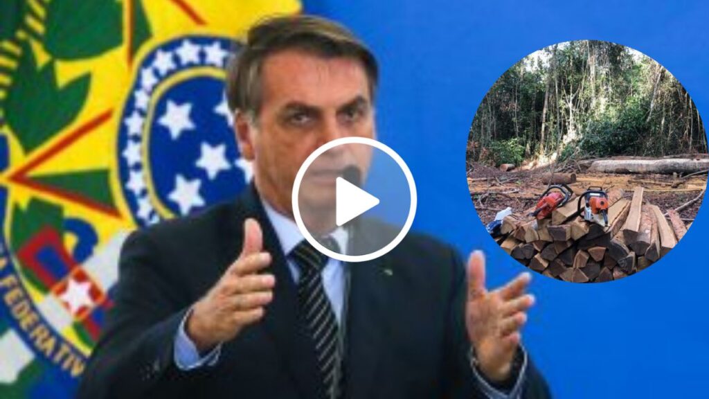 Presidente Bolsonaro altera decreto sobre infrações e sanções ambientais