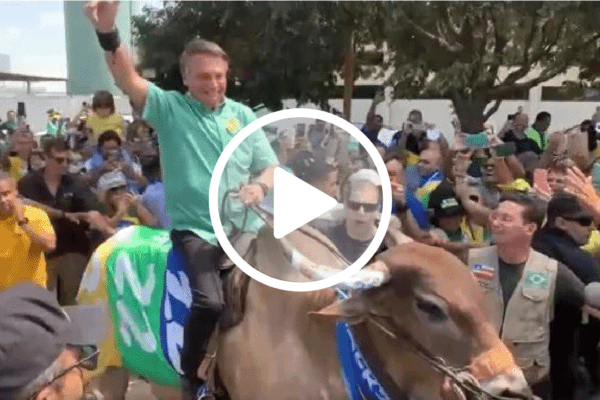 Bolsonaro monta em touro em campanha no Nordeste